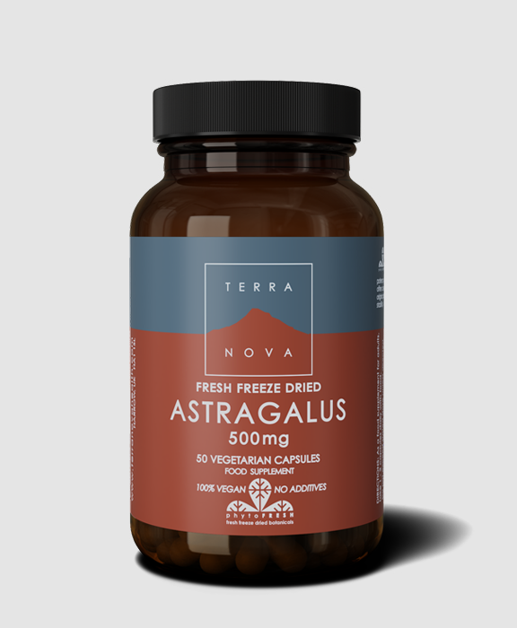 Terra Nova Astragalus 500mg (fresh freeze dried) 50Capsules