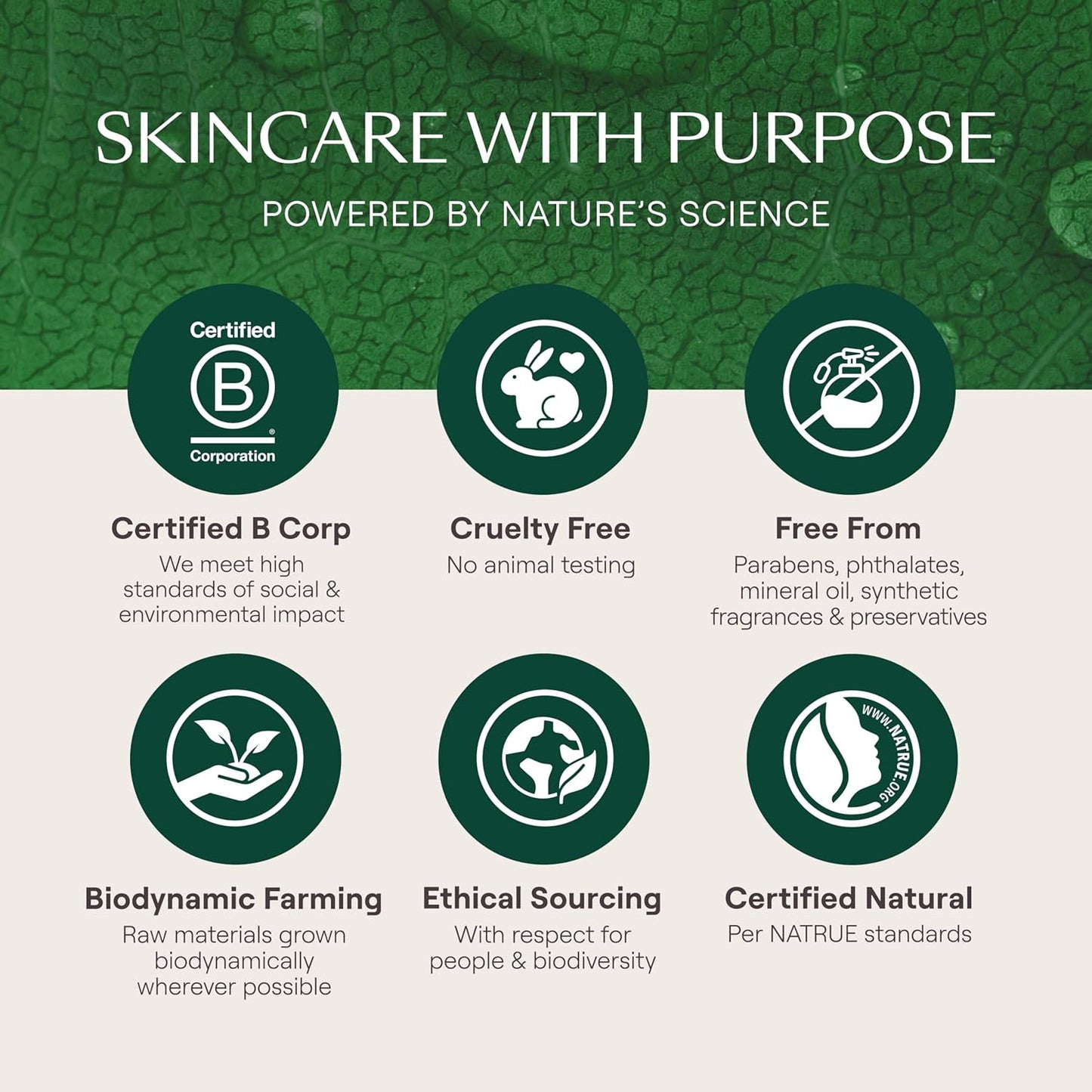 Weleda Skin Food (75ml)