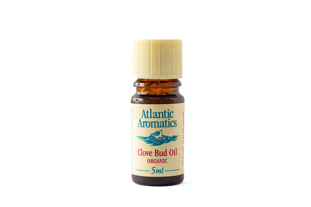 Atlantic Aromatics Organic Clove Bud Oil 5Ml