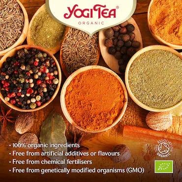 YogiTea Ginger Lemon (17teabags)