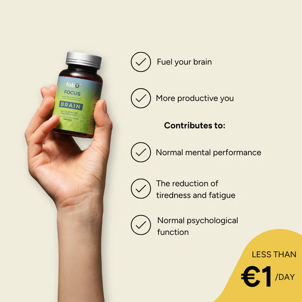 fabU Focus Brain