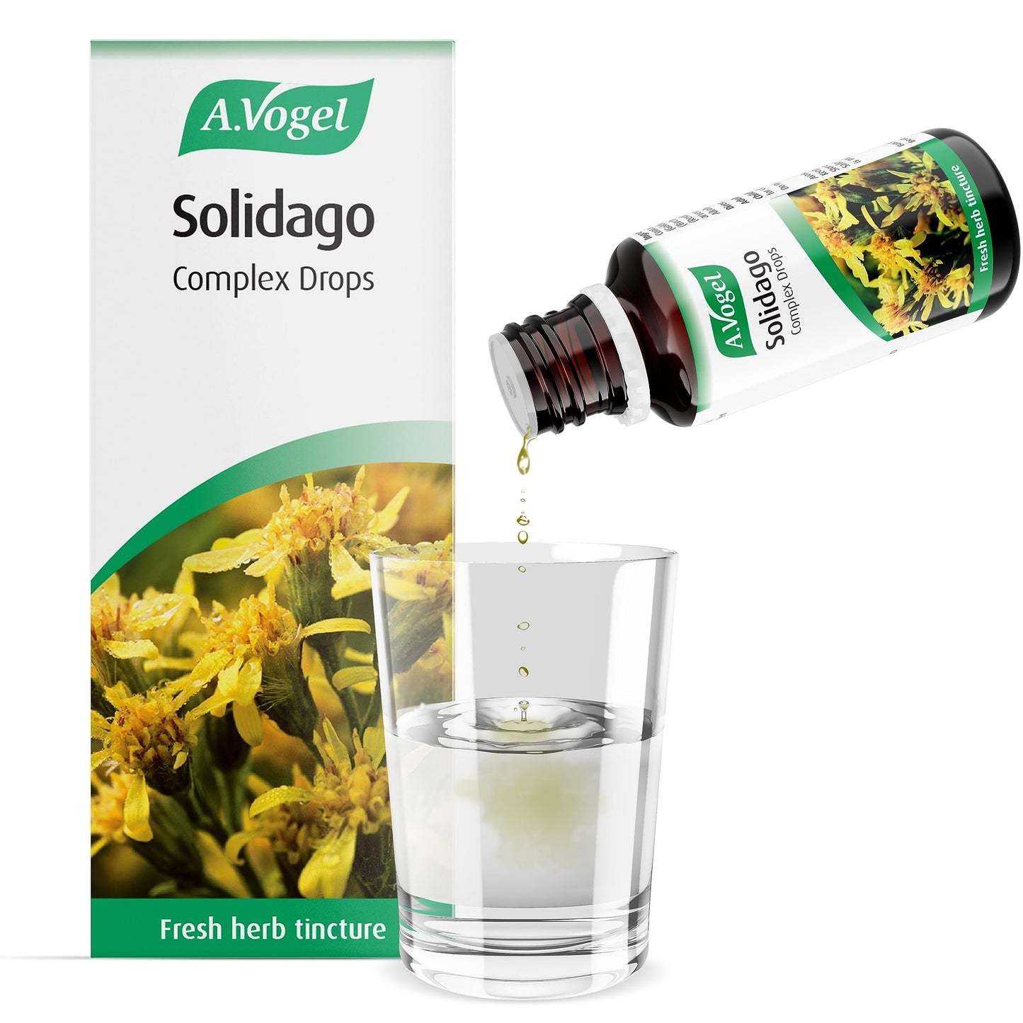 A.Vogel Solidago Comlex Oral Drops