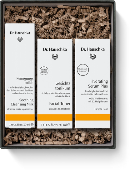 Dr Hauschka Fresh Set