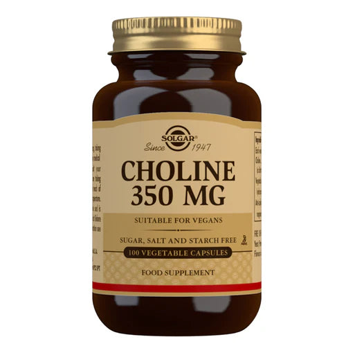 Solgar Choline 100 Capsules